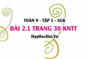 Bài 2.1 trang 30 Toán 9 tập 1 Kết nối tri thức